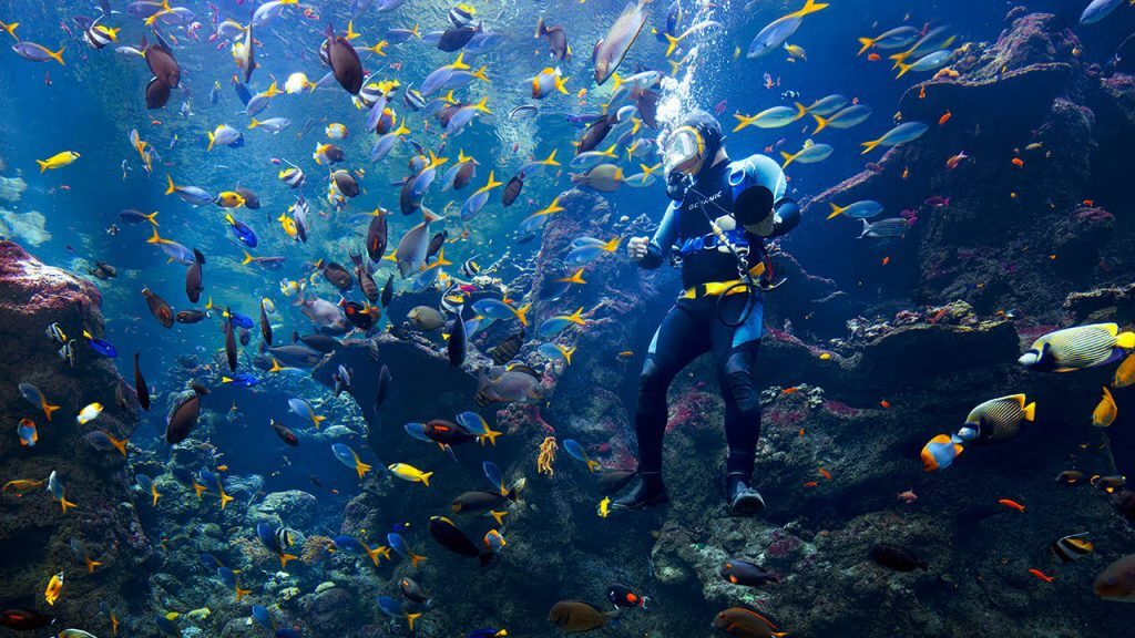 Day at the Steinhart Aquarium, California Academy of Sciences - California AcaDemy Of Sciences 1024x576